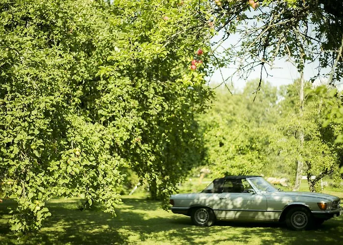 Katariina ホテル *