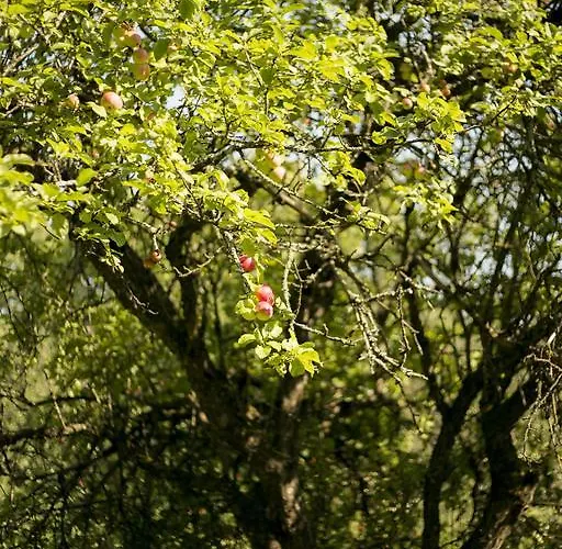 ホテル Katariina パルヌ